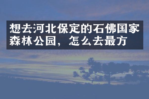 想去河北保定的石佛国家森林公园，怎么去最方便