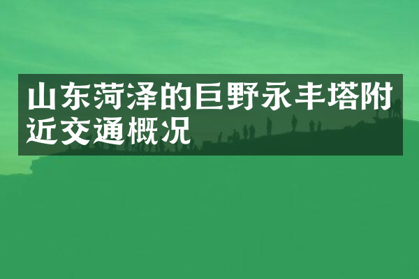 山东菏泽的巨野永丰塔附近交通概况