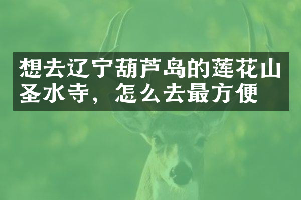 想去辽宁葫芦岛的莲花山圣水寺，怎么去最方便