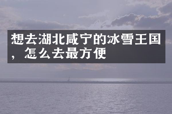 想去湖北咸宁的冰雪王国，怎么去最方便
