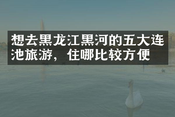 想去黑龙江黑河的五大连池旅游，住哪比较方便