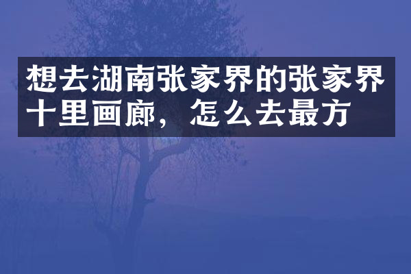 想去湖南张家界的张家界十里画廊，怎么去最方便