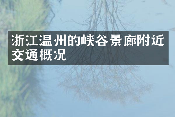 浙江温州的峡谷景廊附近交通概况