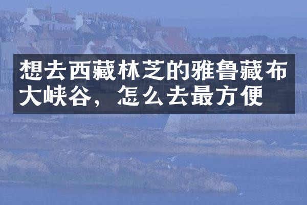 想去西藏林芝的雅鲁藏布大峡谷，怎么去最方便