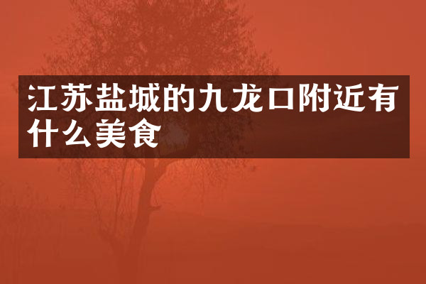 江苏盐城的九龙口附近有什么美食