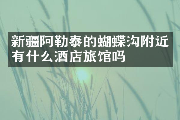 新疆阿勒泰的蝴蝶沟附近有什么酒店旅馆吗