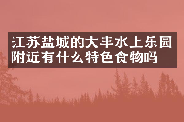 江苏盐城的大丰水上乐园附近有什么特色食物吗