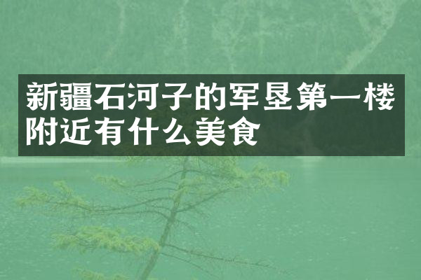 新疆石河子的军垦第一楼附近有什么美食