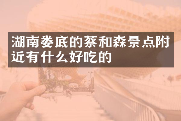 湖南娄底的蔡和森景点附近有什么好吃的