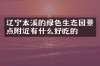 辽宁本溪的绿色生态园景点附近有什么好吃的