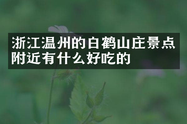 浙江温州的白鹤山庄景点附近有什么好吃的
