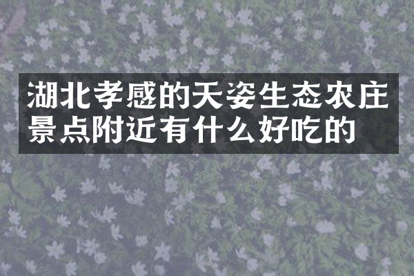 湖北孝感的天姿生态农庄景点附近有什么好吃的
