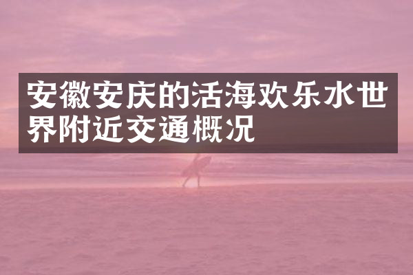 安徽安庆的活海欢乐水世界附近交通概况