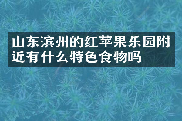 山东滨州的红苹果乐园附近有什么特色食物吗