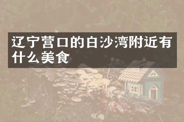 辽宁营口的白沙湾附近有什么美食