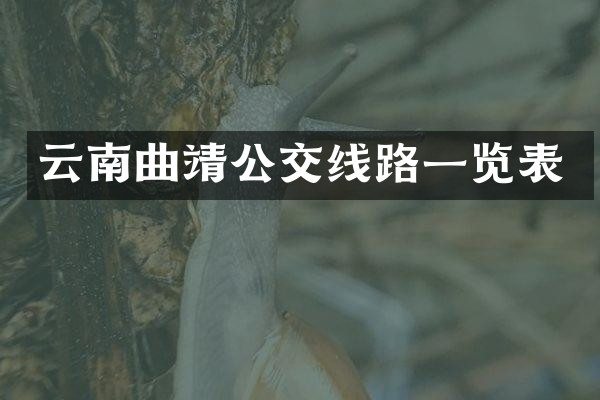 云南曲靖公交线路一览表
