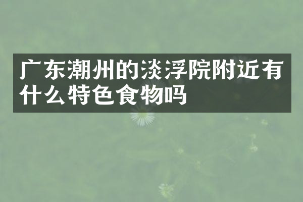 广东潮州的淡浮院附近有什么特色食物吗