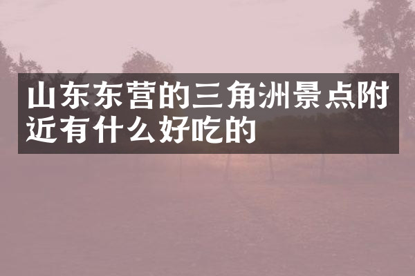 山东东营的三角洲景点附近有什么好吃的