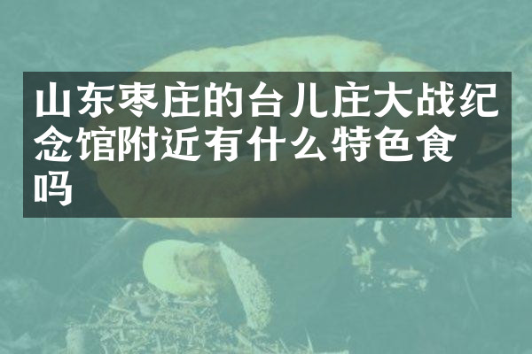 山东枣庄的台儿庄大战纪念馆附近有什么特色食物吗