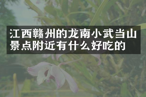 江西赣州的龙南小武当山景点附近有什么好吃的