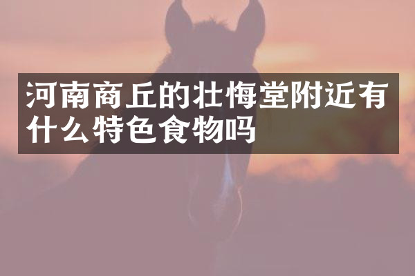 河南商丘的壮悔堂附近有什么特色食物吗