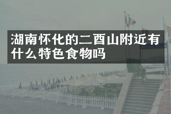 湖南怀化的二酉山附近有什么特色食物吗