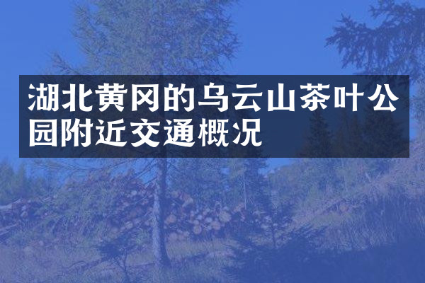 湖北黄冈的乌云山茶叶公园附近交通概况