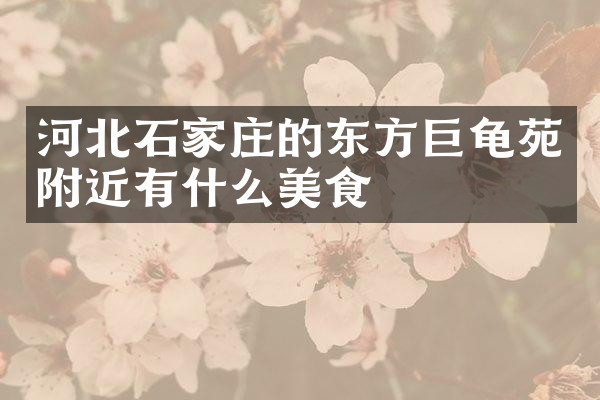 河北石家庄的东方巨龟苑附近有什么美食