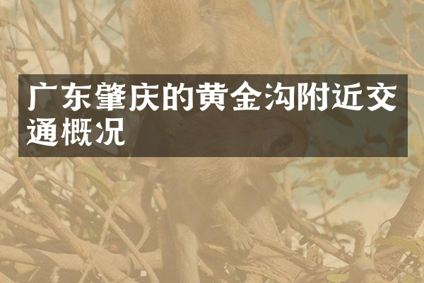 广东肇庆的黄金沟附近交通概况