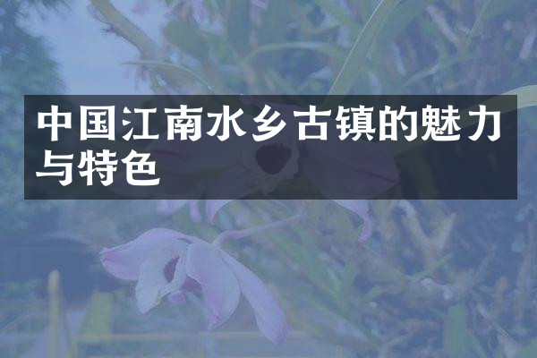 中国江南水乡古镇的魅力与特色