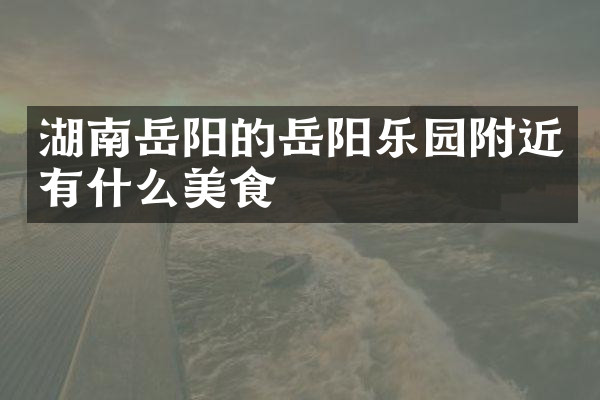 湖南岳阳的岳阳乐园附近有什么美食