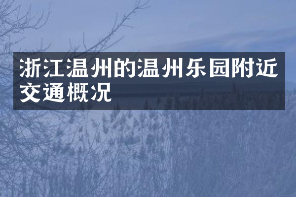 浙江温州的温州乐园附近交通概况