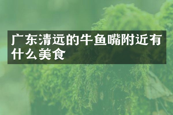 广东清远的牛鱼嘴附近有什么美食