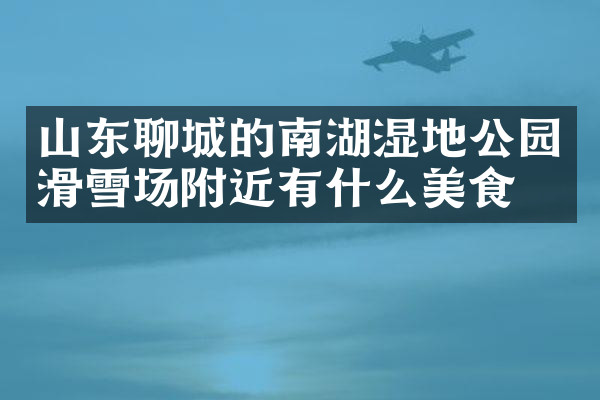 山东聊城的南湖湿地公园滑雪场附近有什么美食