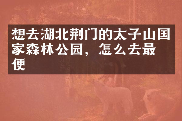 想去湖北荆门的太子山国家森林公园，怎么去最方便
