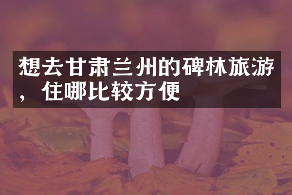 想去甘肃兰州的碑林旅游，住哪比较方便