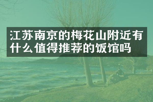 江苏南京的梅花山附近有什么值得推荐的饭馆吗