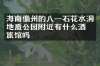 海南儋州的八一石花水洞地质公园附近有什么酒店旅馆吗