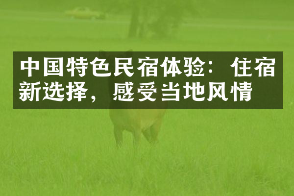 中国特色民宿体验：住宿新选择，感受当地风情