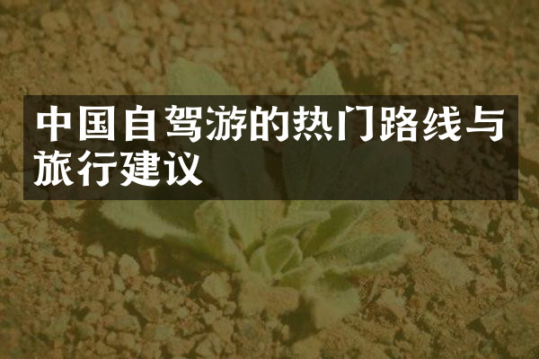 中国自驾游的热门路线与旅行建议