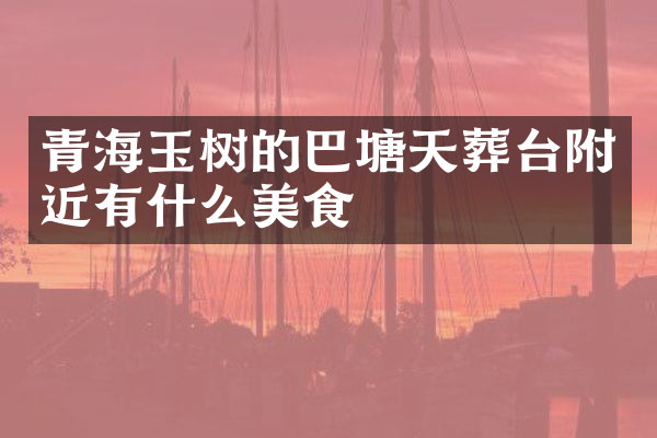 青海玉树的巴塘天葬台附近有什么美食
