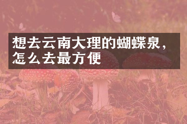 想去云南大理的蝴蝶泉，怎么去最方便