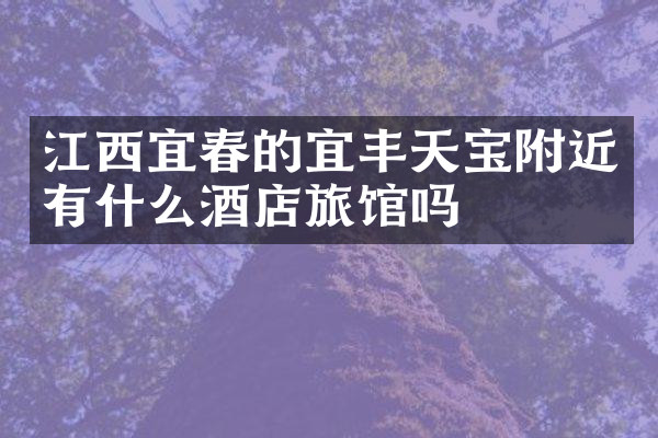 江西宜春的宜丰天宝附近有什么酒店旅馆吗