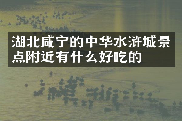 湖北咸宁的中华水浒城景点附近有什么好吃的