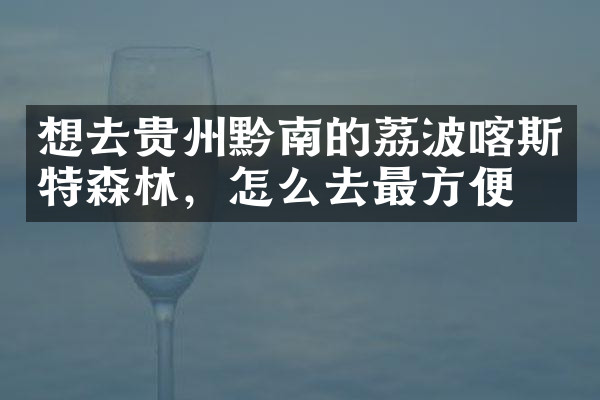 想去贵州黔南的荔波喀斯特森林，怎么去最方便
