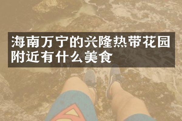 海南万宁的兴隆热带花园附近有什么美食