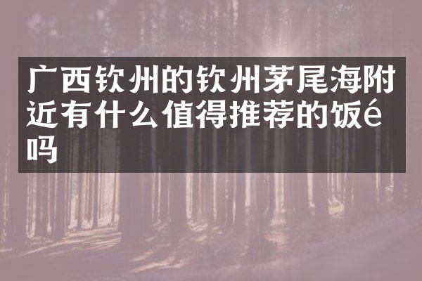广西钦州的钦州茅尾海附近有什么值得推荐的饭馆吗