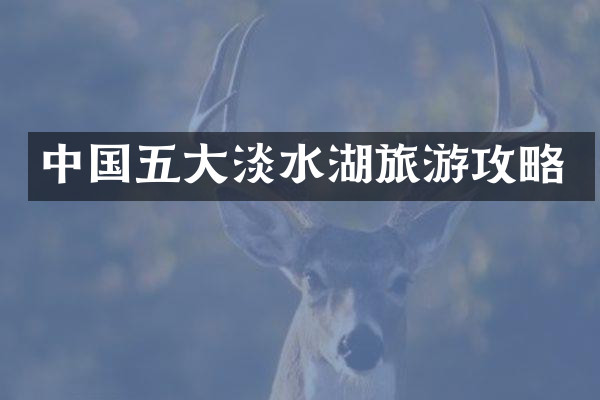 中国五大淡水湖旅游攻略