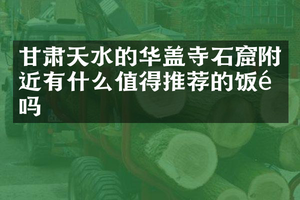 甘肃天水的华盖寺石窟附近有什么值得推荐的饭馆吗