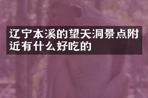 辽宁本溪的望天洞景点附近有什么好吃的